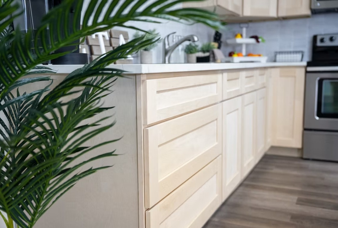 Versa Shaker kitchen with island, tropical plant and stainless steel appliances